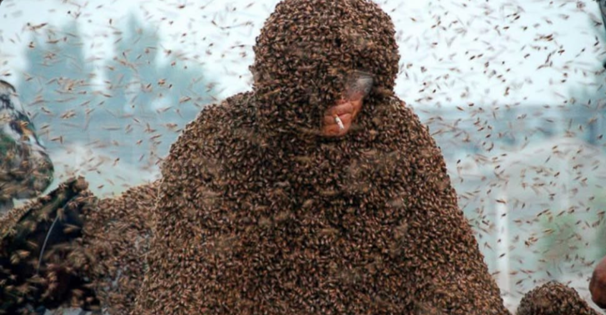 Guinness Record