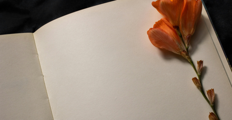 Empty diary